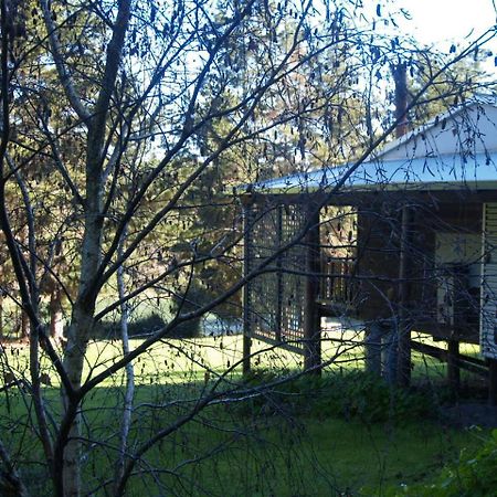 Hawke Brook Chalets Пембертон Экстерьер фото